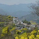 黄山旅游 缩略图 5