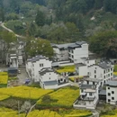 黄山旅游 缩略图 6
