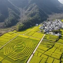黄山旅游 缩略图 6