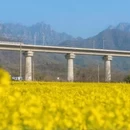 黄山旅游 缩略图 5