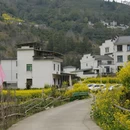 黄山旅游 缩略图 10