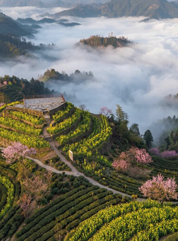 黄山旅游