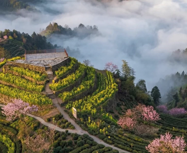 黄山旅游 1