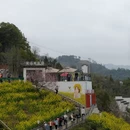 黄山旅游 缩略图 8