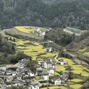 黄山旅游 缩略图 7
