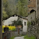 黄山旅游 缩略图 18