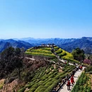 黄山旅游 缩略图 6