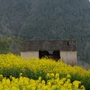 黄山旅游 缩略图 17