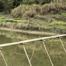 黄山旅游 缩略图 8