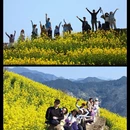 黄山旅游 缩略图 4