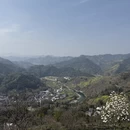 黄山旅游 缩略图 2