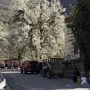阿坝旅游 缩略图 9
