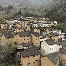 黄山旅游 缩略图 15