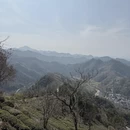 黄山旅游 缩略图 4