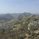 黄山旅游 缩略图 3