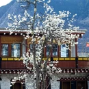 阿坝旅游 缩略图 3