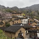 黄山旅游 缩略图 17