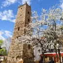 阿坝旅游 缩略图 11