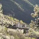 阿坝旅游 缩略图 6