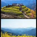 黄山旅游 缩略图 1