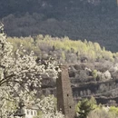 阿坝旅游 缩略图 7