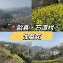 黄山旅游 缩略图 1