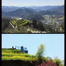 黄山旅游 缩略图 3
