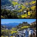 黄山旅游 缩略图 2