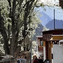 阿坝旅游 缩略图 8