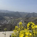 黄山旅游 缩略图 6