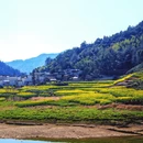 黄山旅游 缩略图 15