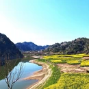 黄山旅游 缩略图 16