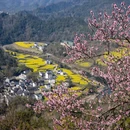 黄山旅游 缩略图 8