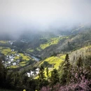 黄山旅游 缩略图 7
