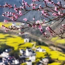 黄山旅游 缩略图 13