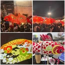 黄山旅游 缩略图 7