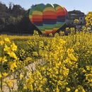 黄山旅游 缩略图 4