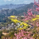 黄山旅游 缩略图 15