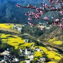 黄山旅游 缩略图 12