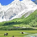 阿坝旅游 缩略图 3