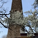 阿坝旅游 缩略图 12