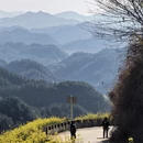 黄山旅游 缩略图 16