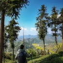 黄山旅游 缩略图 16
