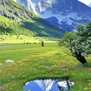 阿坝旅游 缩略图 4