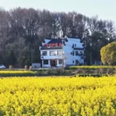 黄山旅游 缩略图 17