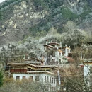阿坝旅游 缩略图 6