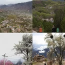阿坝旅游 缩略图 1