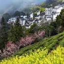 黄山旅游 缩略图 4