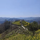 黄山旅游 缩略图 14