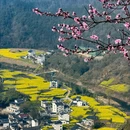 黄山旅游 缩略图 9